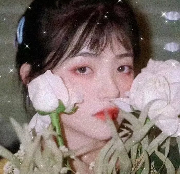 进化症候群